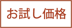 お試し価格