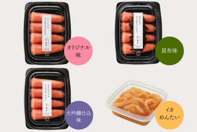 【オンラインストア限定】島本スターターセット