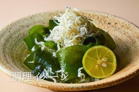 新物志賀島産天然弘わかめ 270g×2個