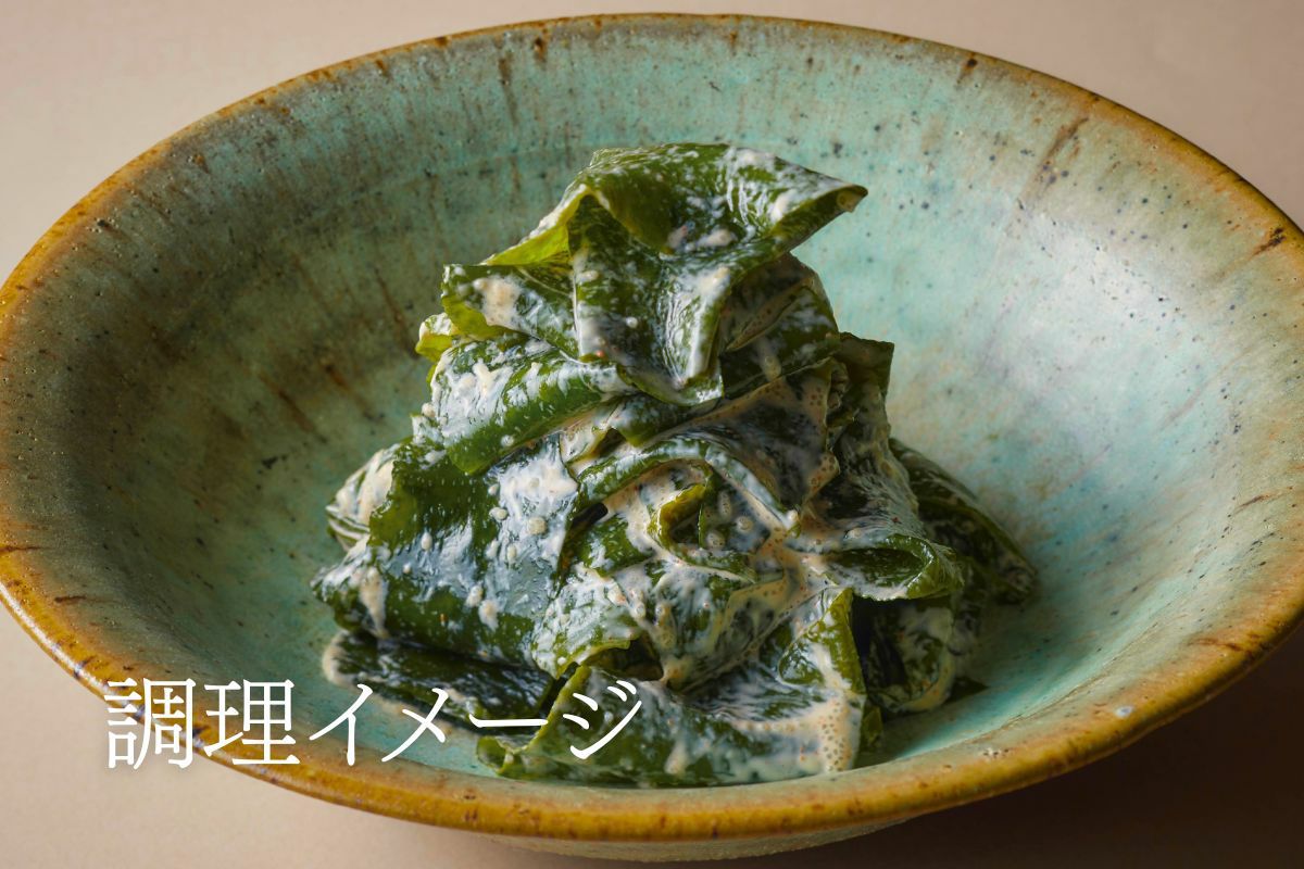 新物志賀島産天然弘わかめ 270g×2個