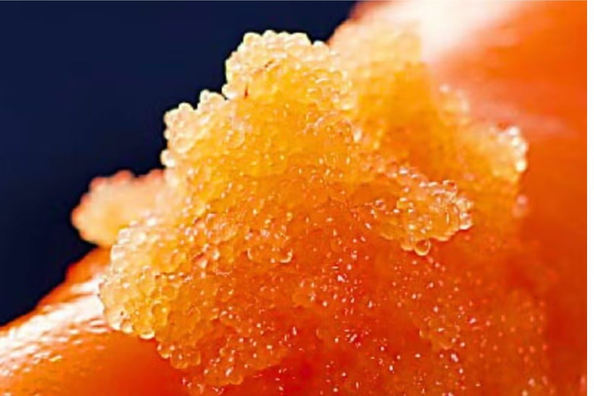 できたて辛子明太子 160g